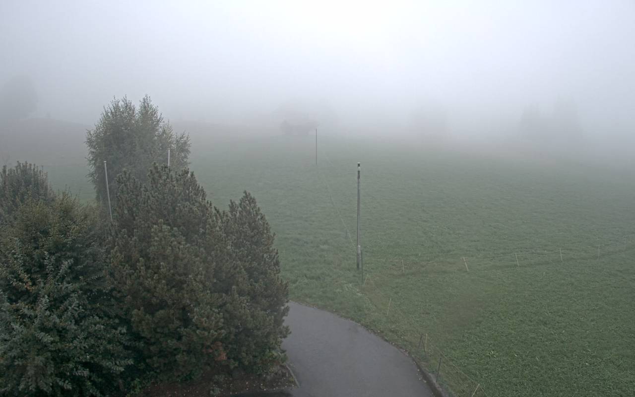3h ago - 19:10
