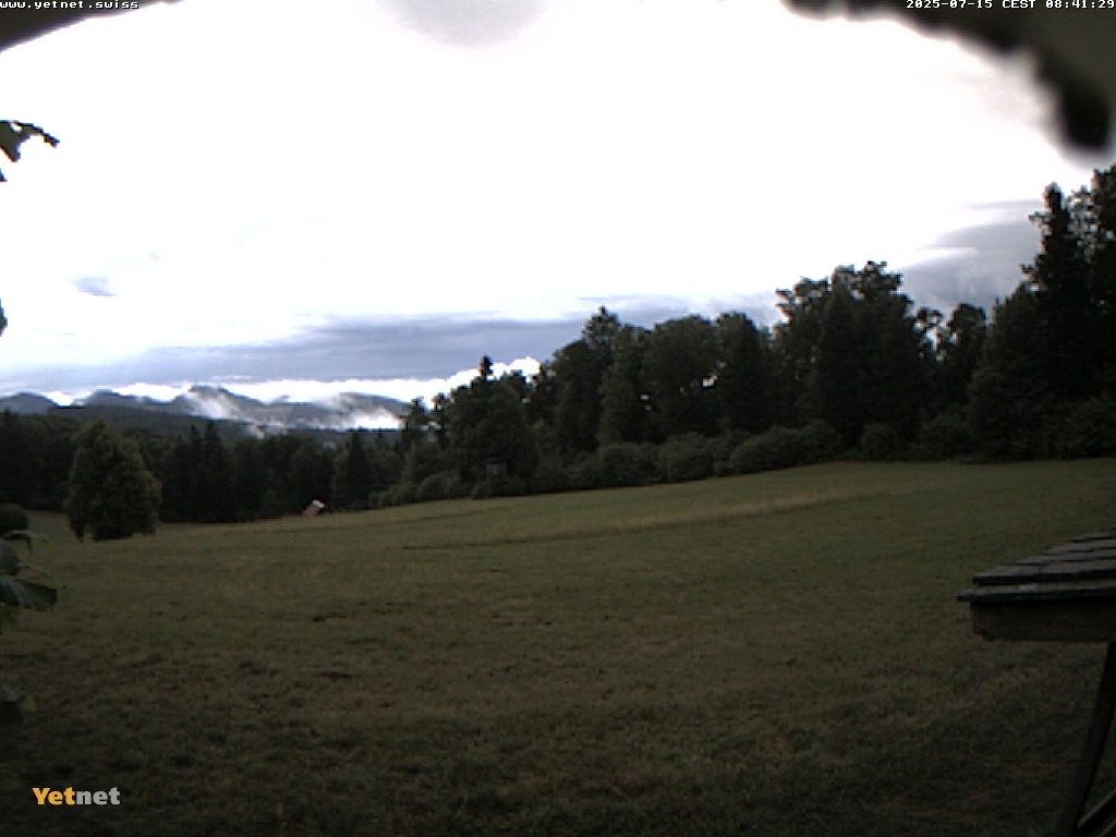 29h ago - 08:41