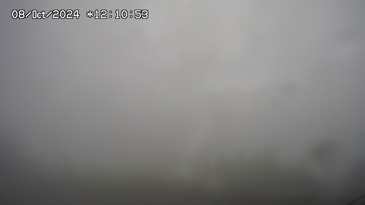 08.10.2024 12:01