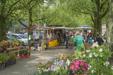 Wochenmarkt Promenade Frauenfeld - 1