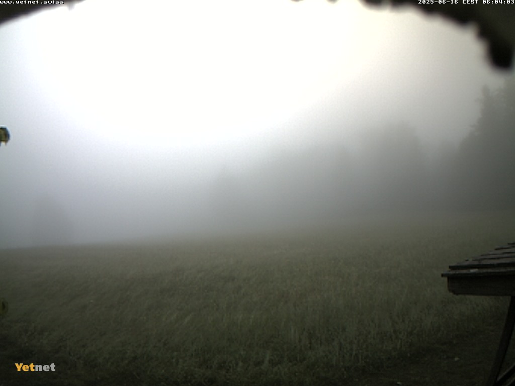 4h ago - 06:04