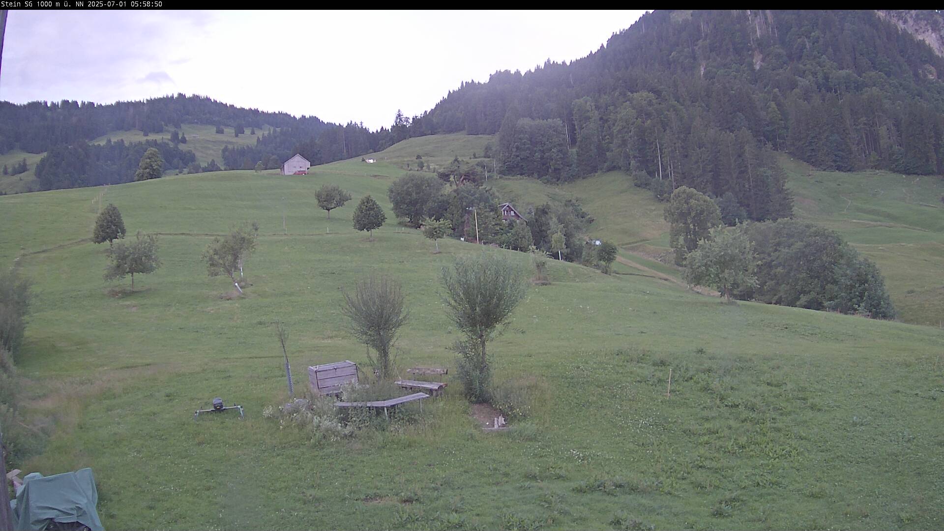 3h ago - 05:31