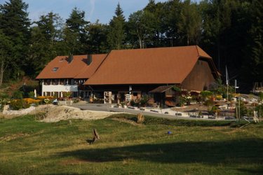 Restaurant Blüemlismatt - 1
