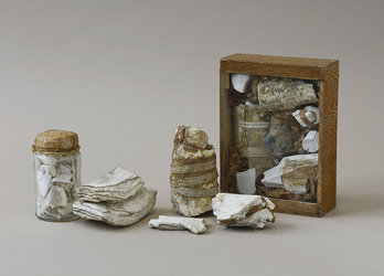 Mammutfunde aus Baar, Blickensdorf ZG: Lamellen von Backenzähnen und Stosszahnbruchstücke in den originalen Behältnissen aus dem frühen 20. Jahrhundert. Foto: Museum für Urgeschichte(n) Zug, Res Eichenberger.