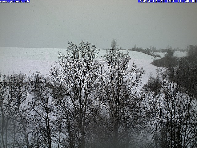 23.12.2024 12:07