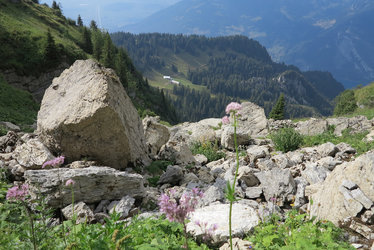 Felssturzgeröll