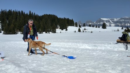 Winter-Military 2019 - 1