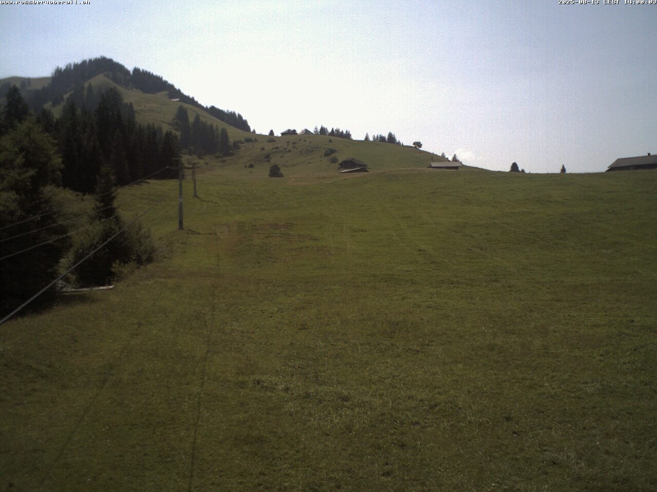 6h ago - 14:00