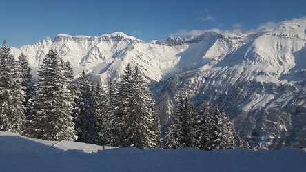 www.bischofalp.ch