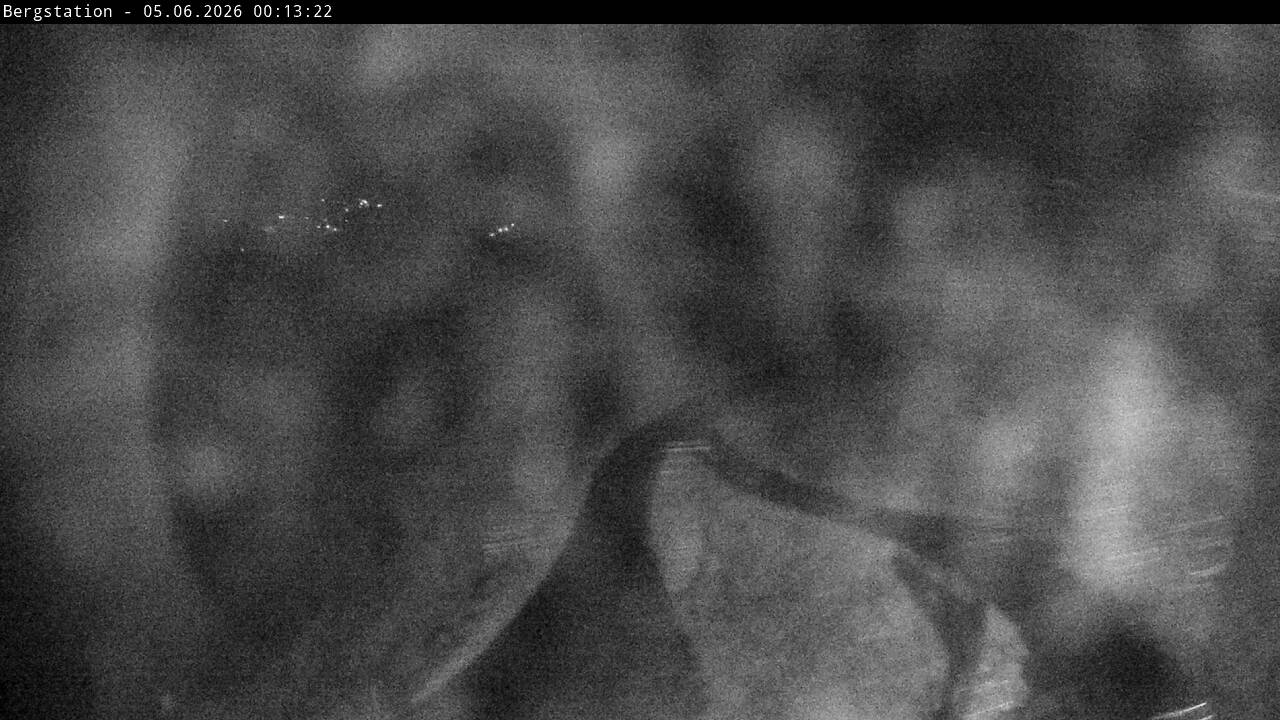 33h ago - 00:13