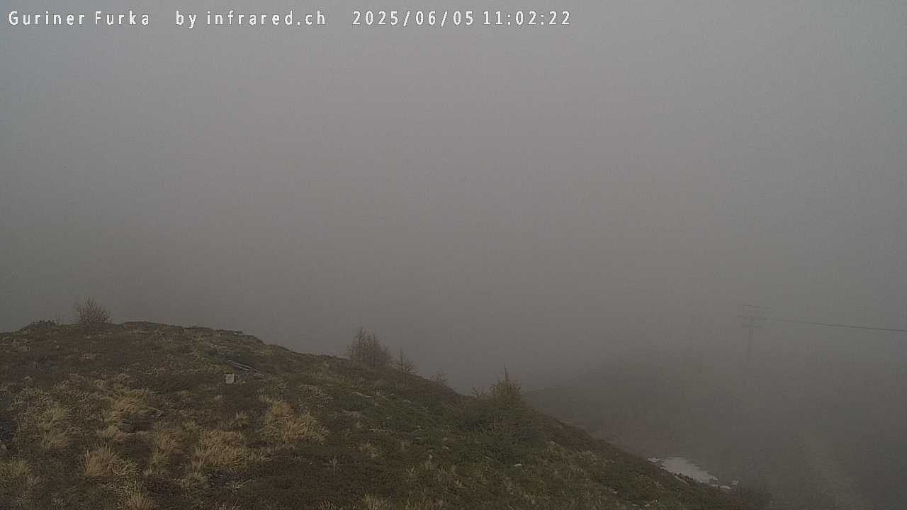 05.06.2025 12:02
