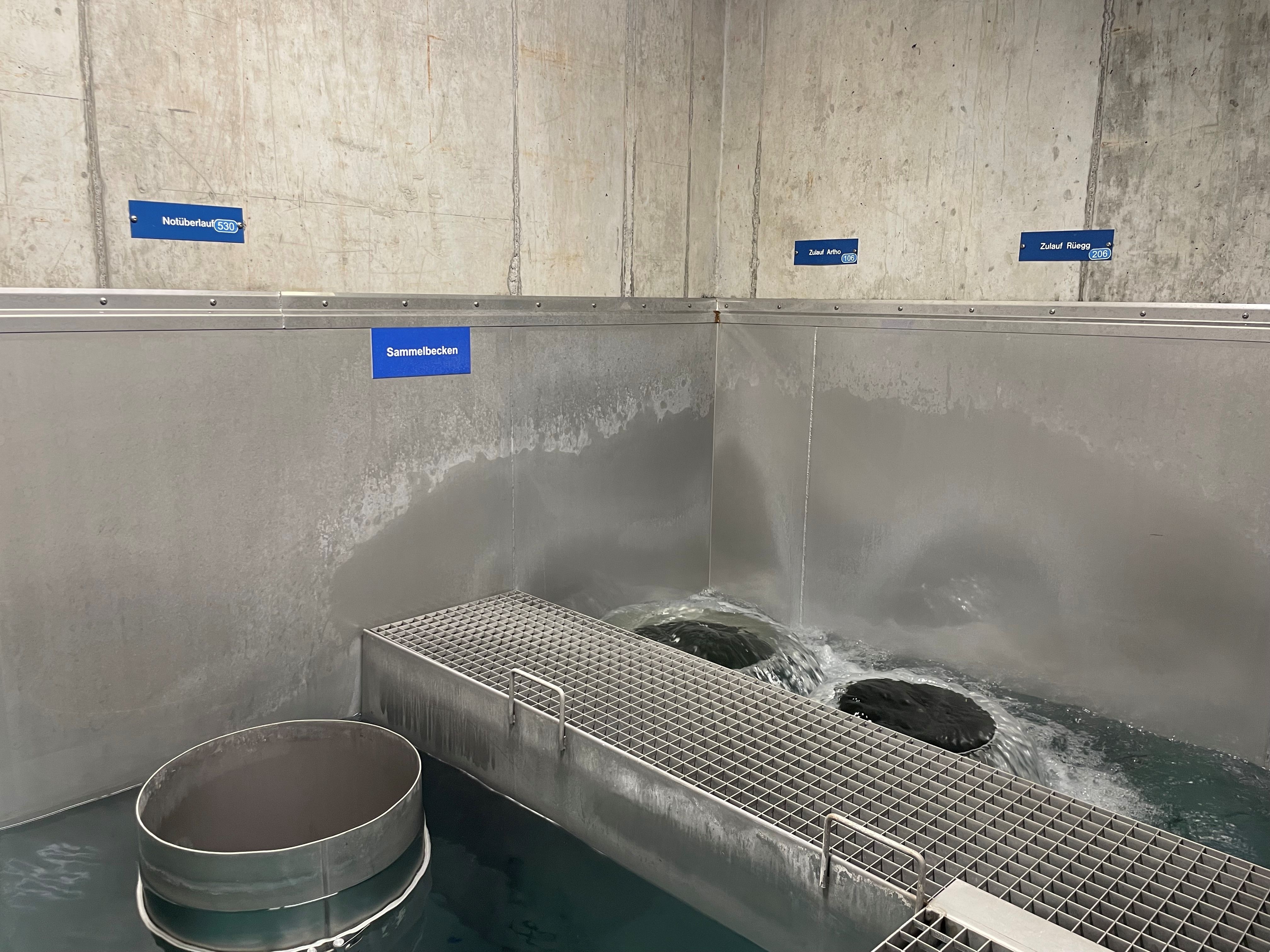 Erlebnis Quellen Goldingen