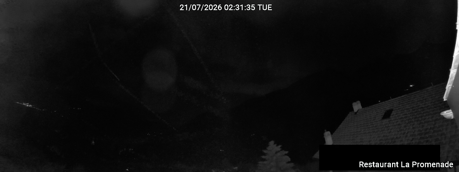 39h ago - 03:31