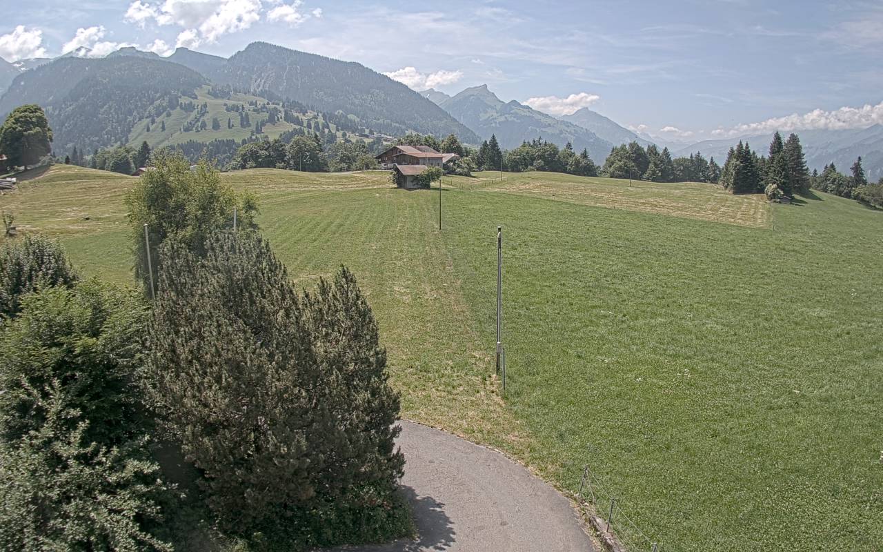18.06.2025 12:25