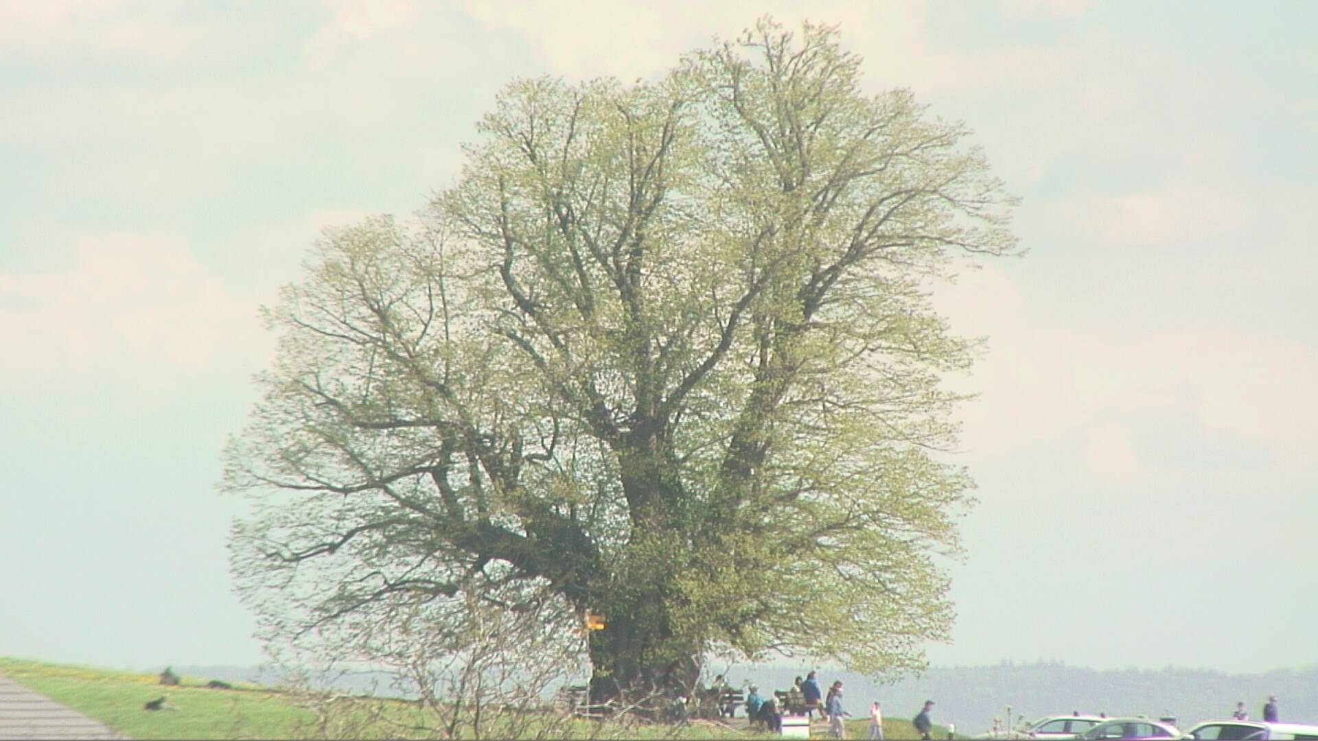 Rovaniemi: Lordin Aukio
