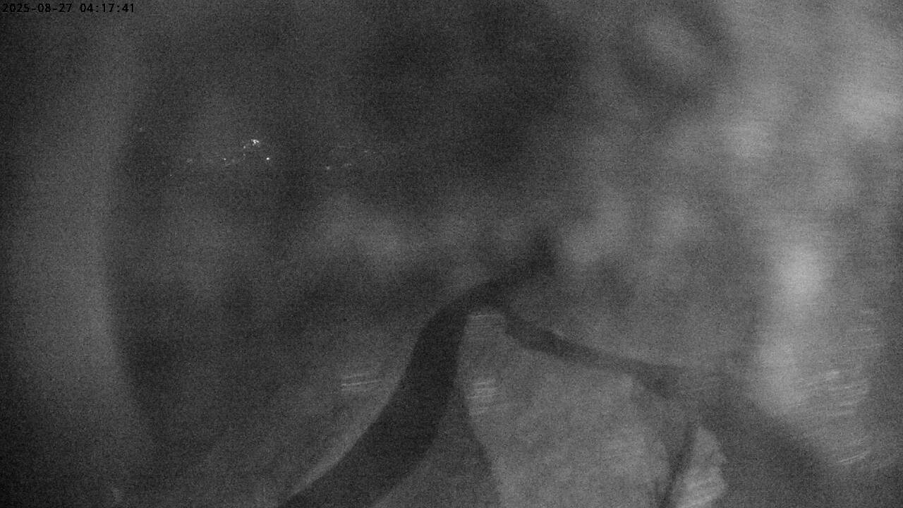 50m ago - 04:17