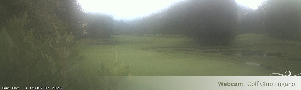 06.10.2024 12:05