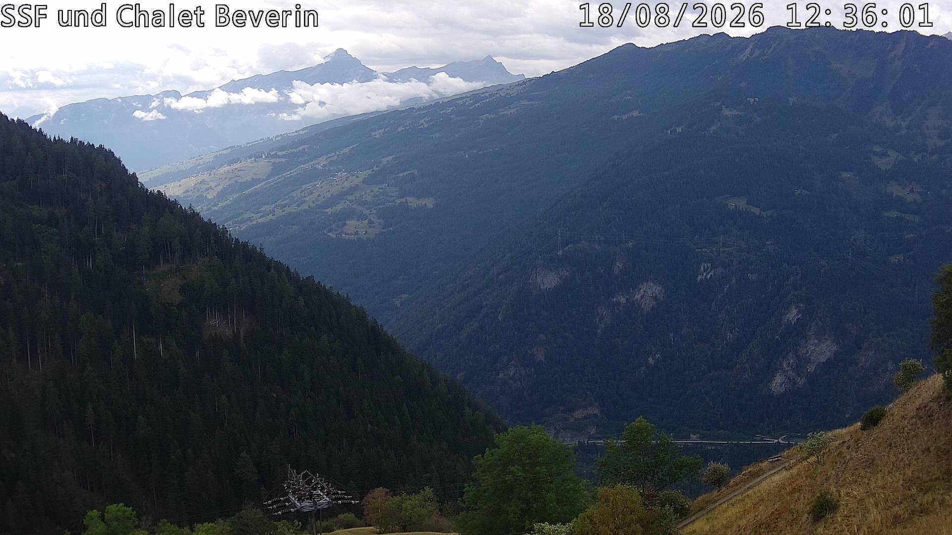 18.08.2026 12:36