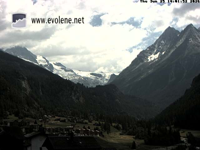 33h ago - 14:01