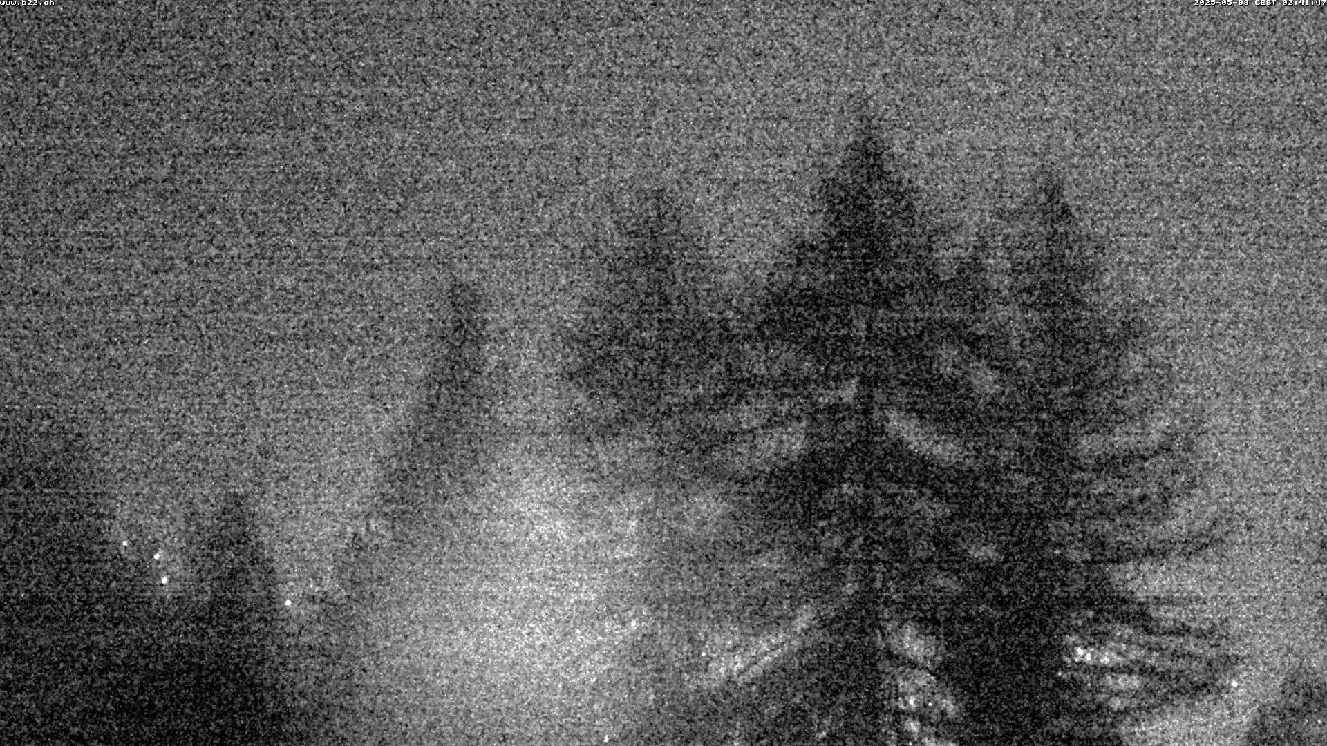 29h ago - 02:40