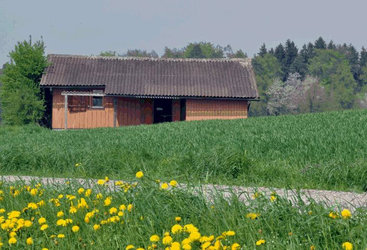 Altes Schützenhaus Baltenswil - 1