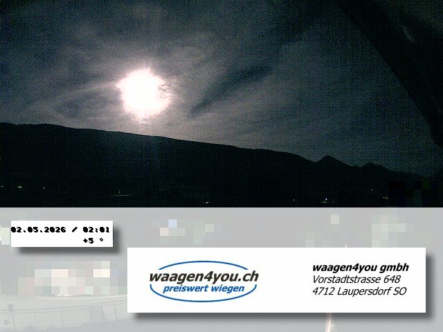 36h ago - 02:01