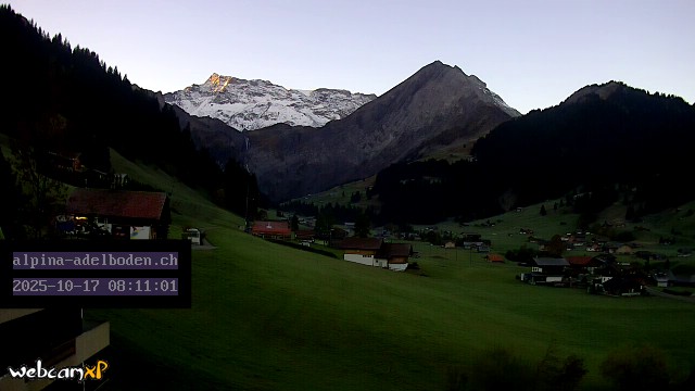 28h ago - 08:11