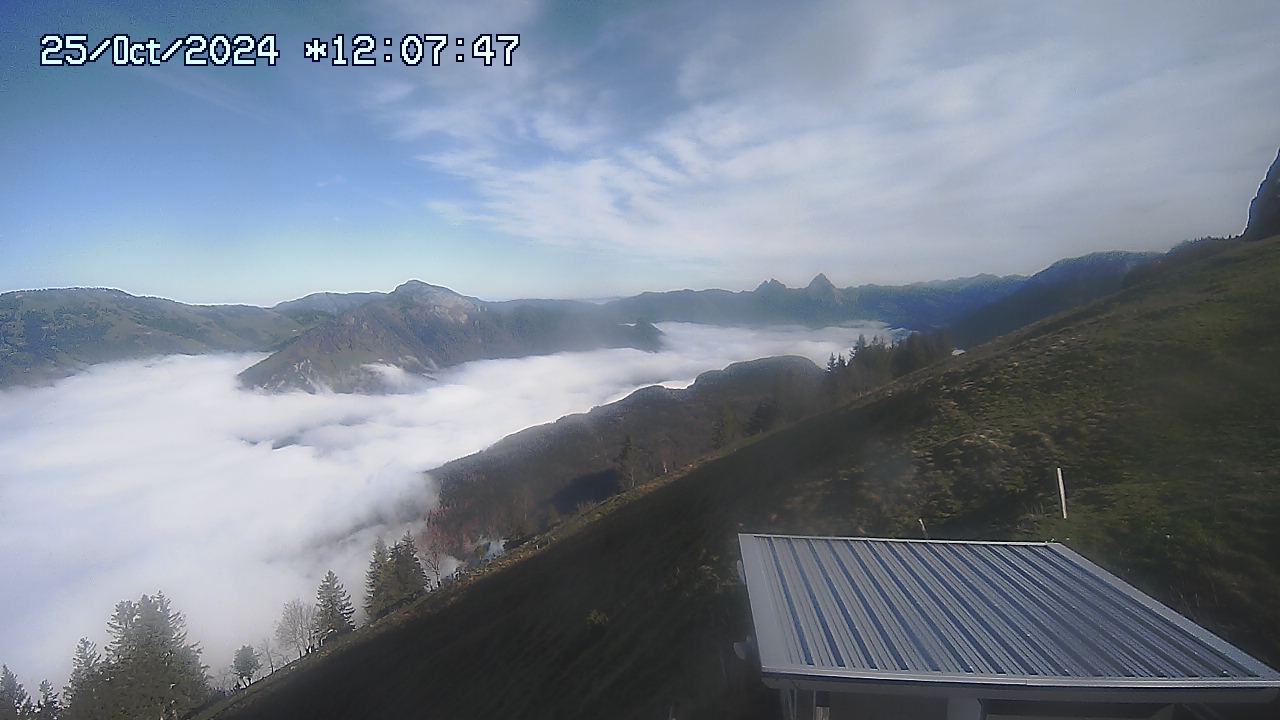 25.10.2024 12:01