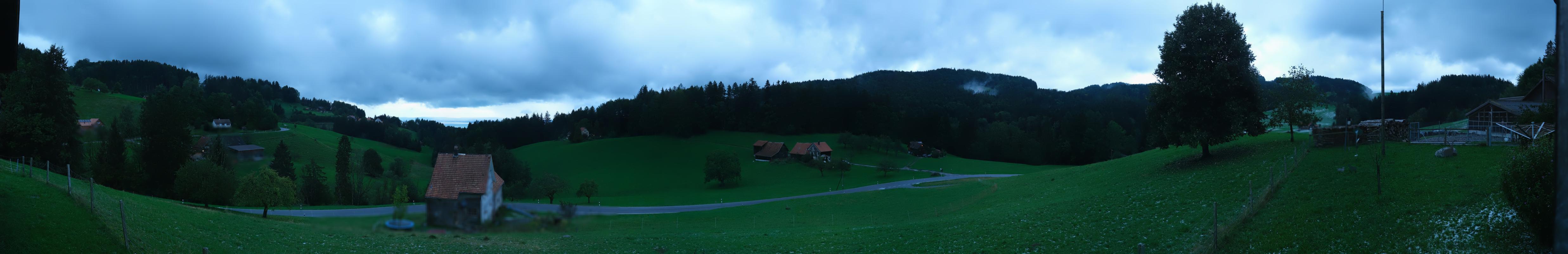 31h ago - 19:32