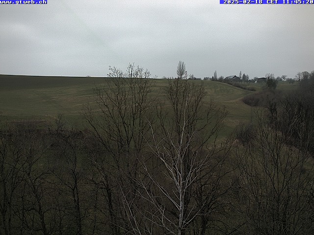 18.02.2025 12:12