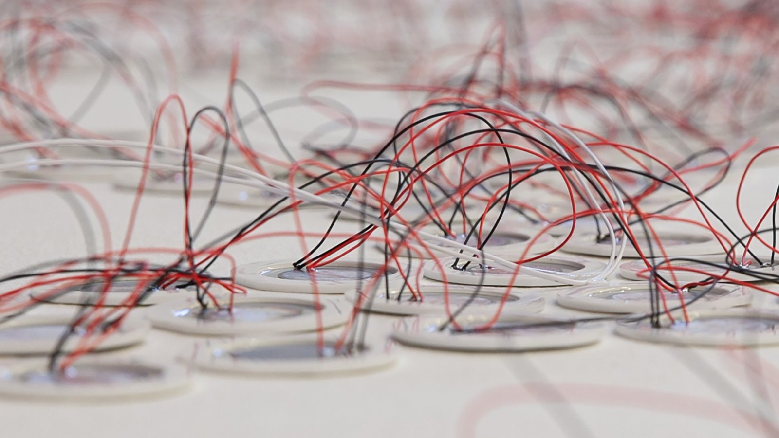 Clara Oppel: Darunter