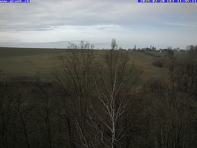 20.02.2025 12:12