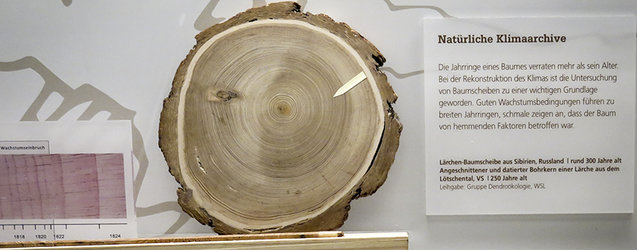 1816/1817 – Tambora und die Ursachen der Teuerung - 1