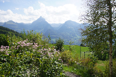 Schwendihaus aussen