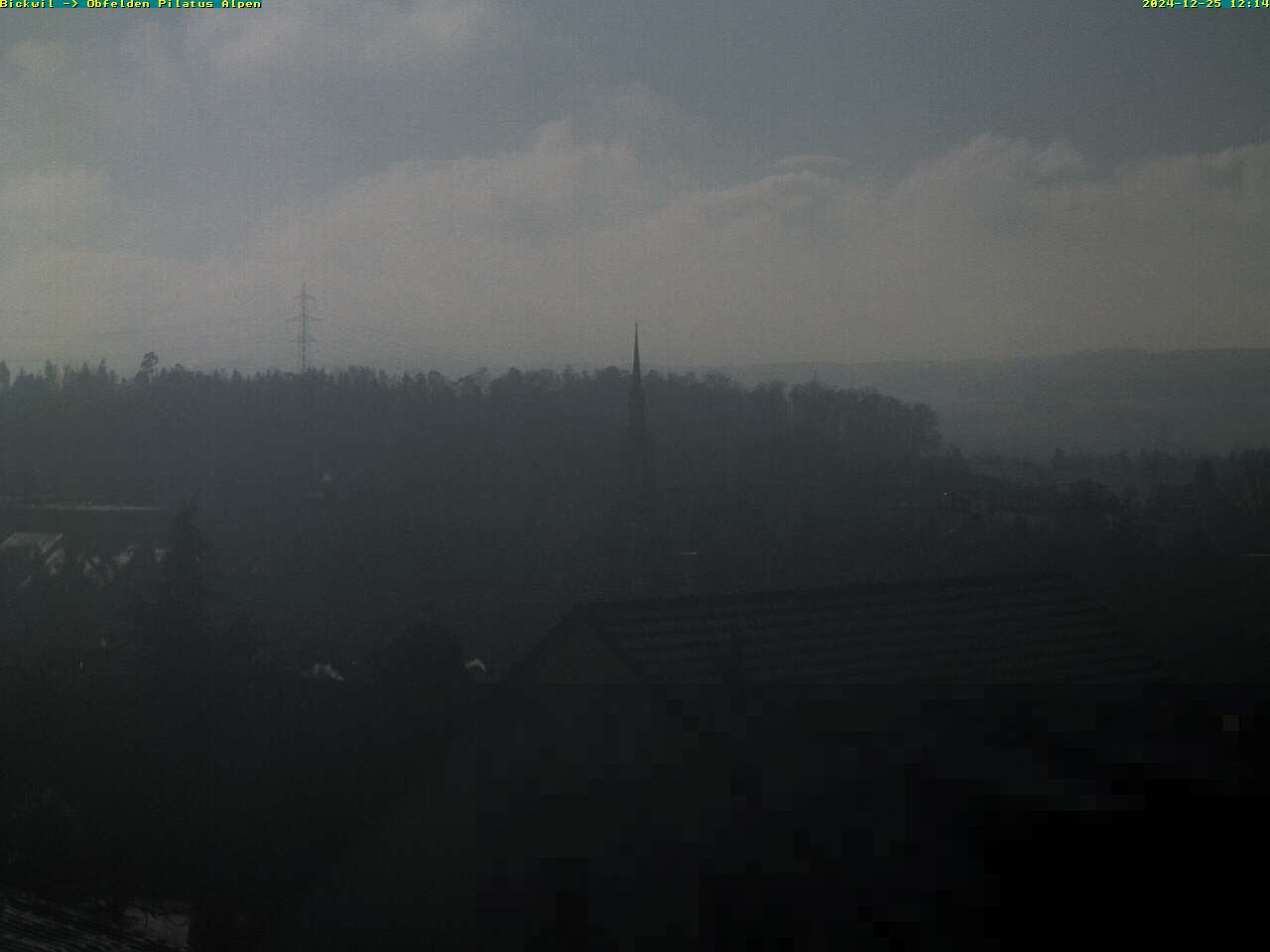 25.12.2024 12:14