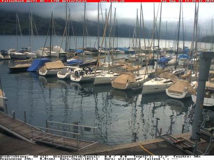 23.09.2025 12:01