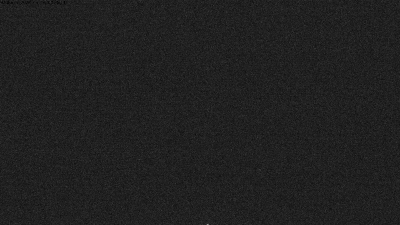 36h ago - 00:31