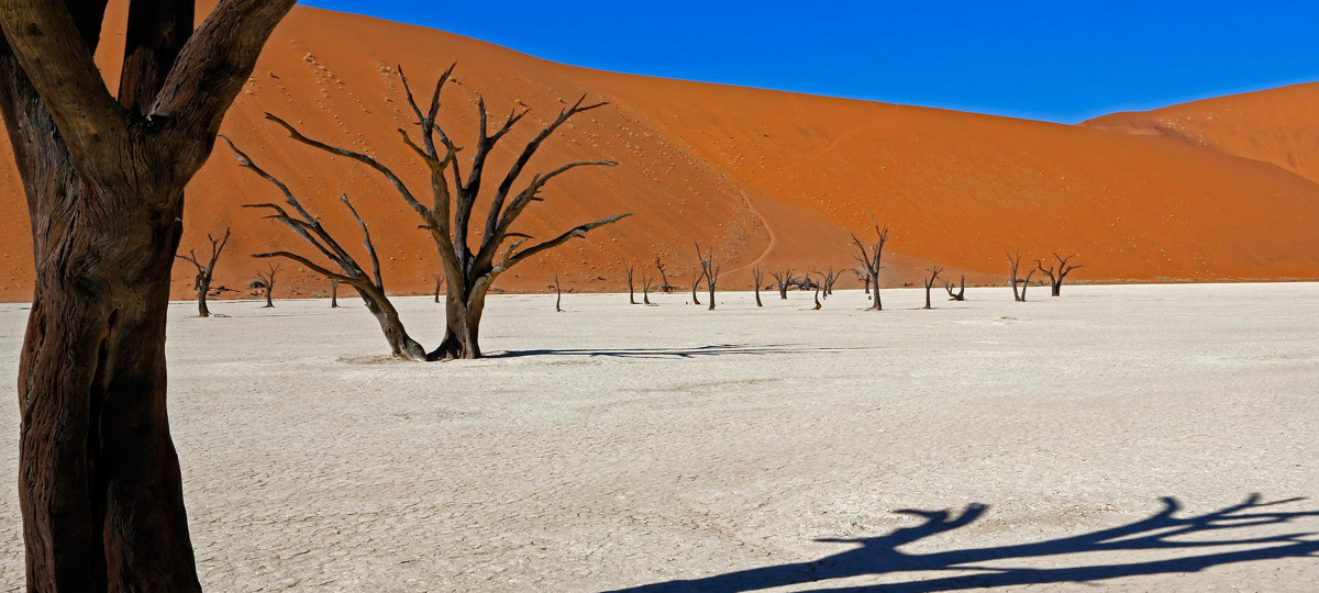 Kulturwochen: Namibia - Traumhaftes Afrika