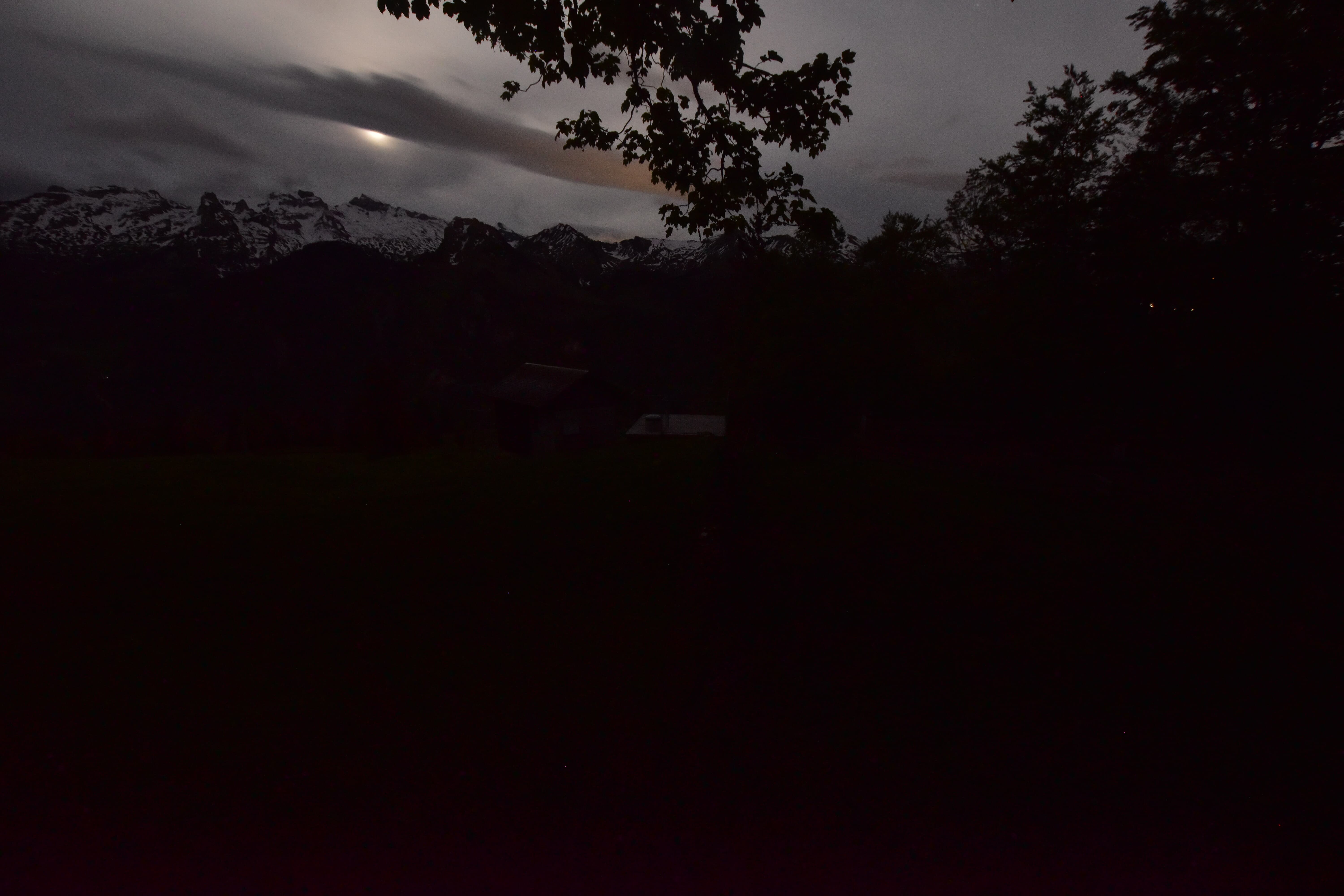 14h ago - 04:31