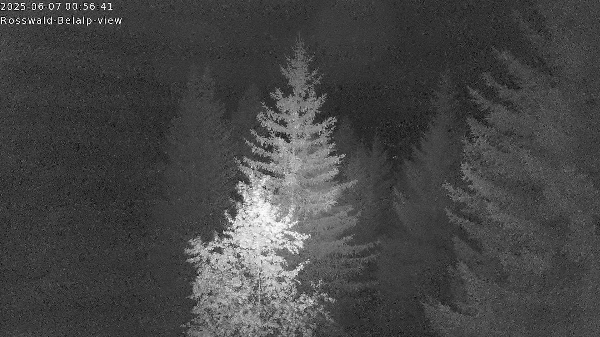 30h ago - 01:01