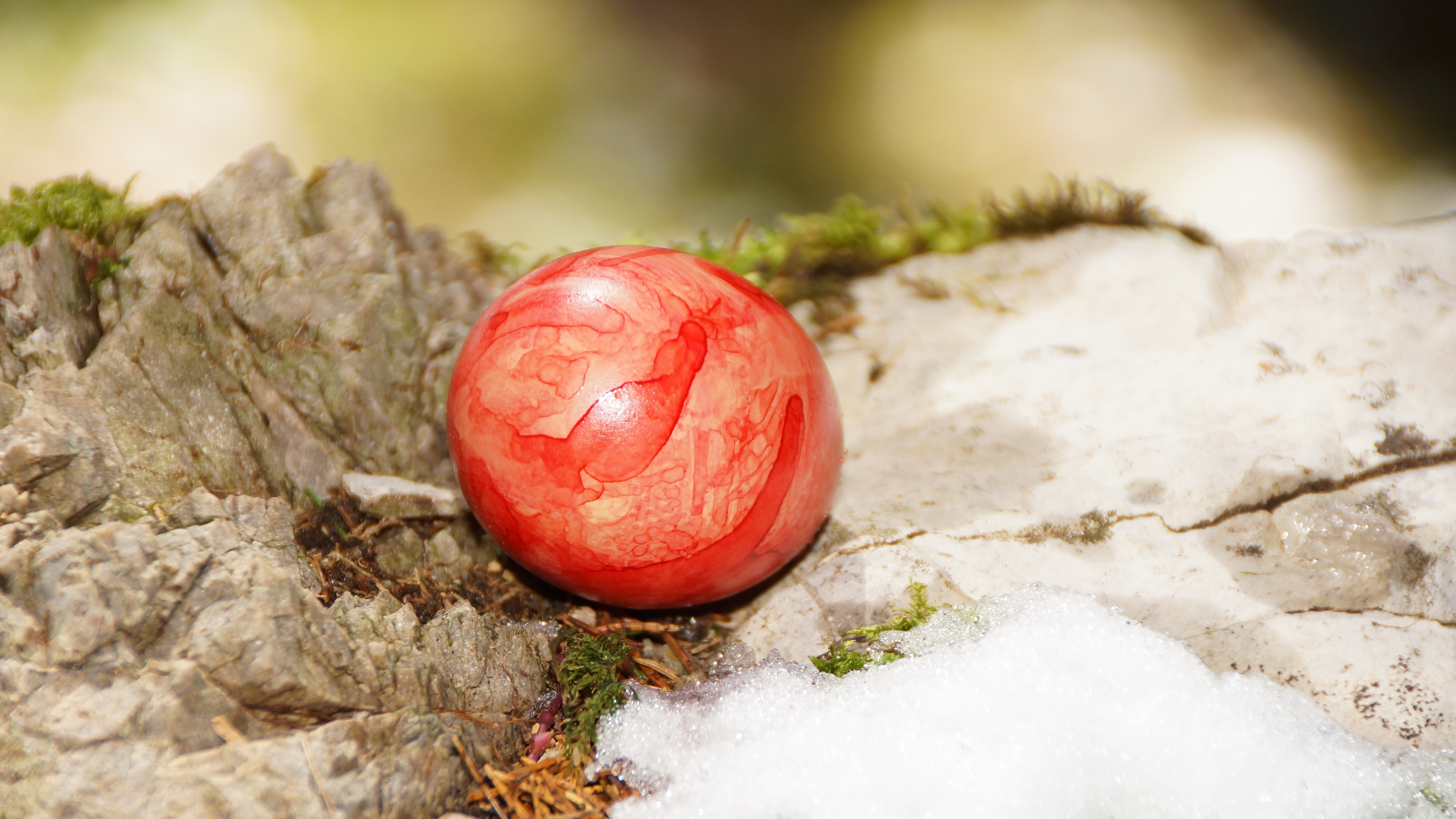 Easter egg hunt in Bulle Switzerland Tourism