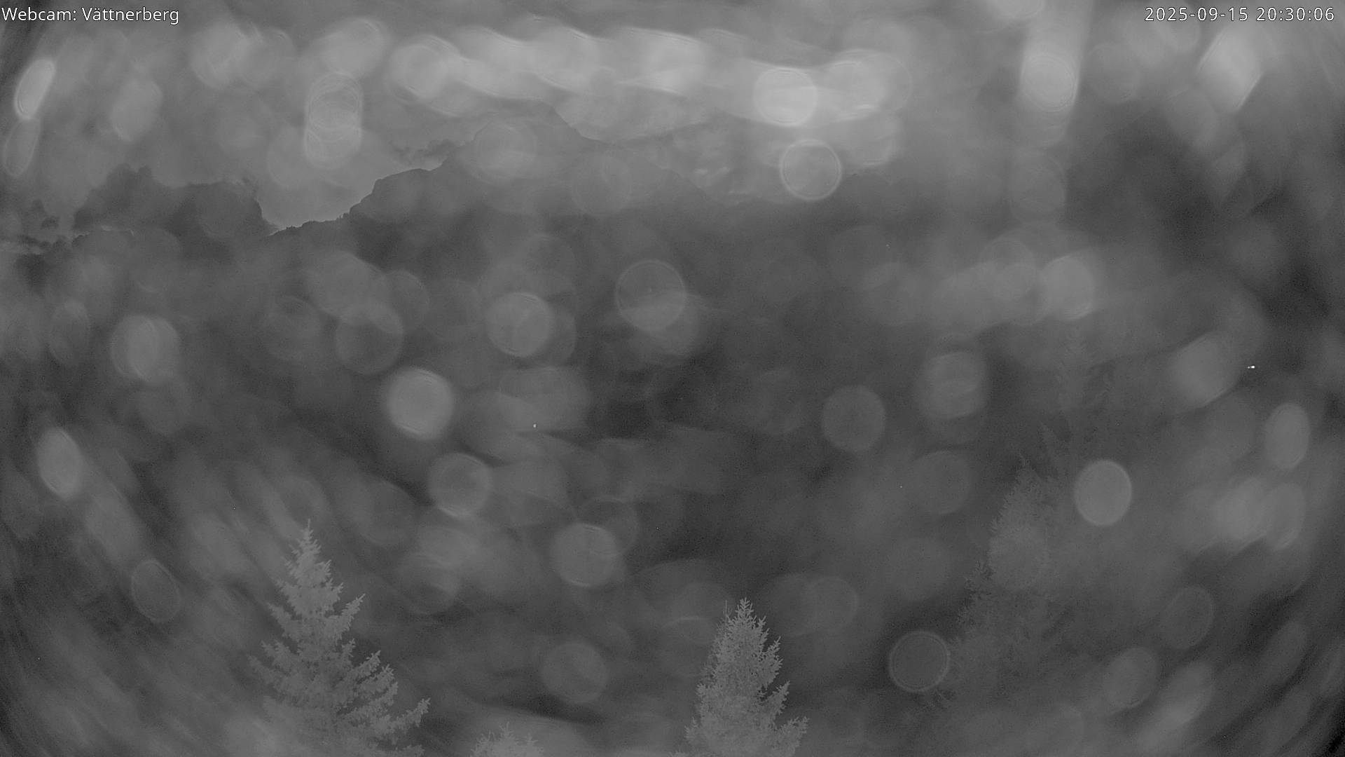 24h ago - 20:40