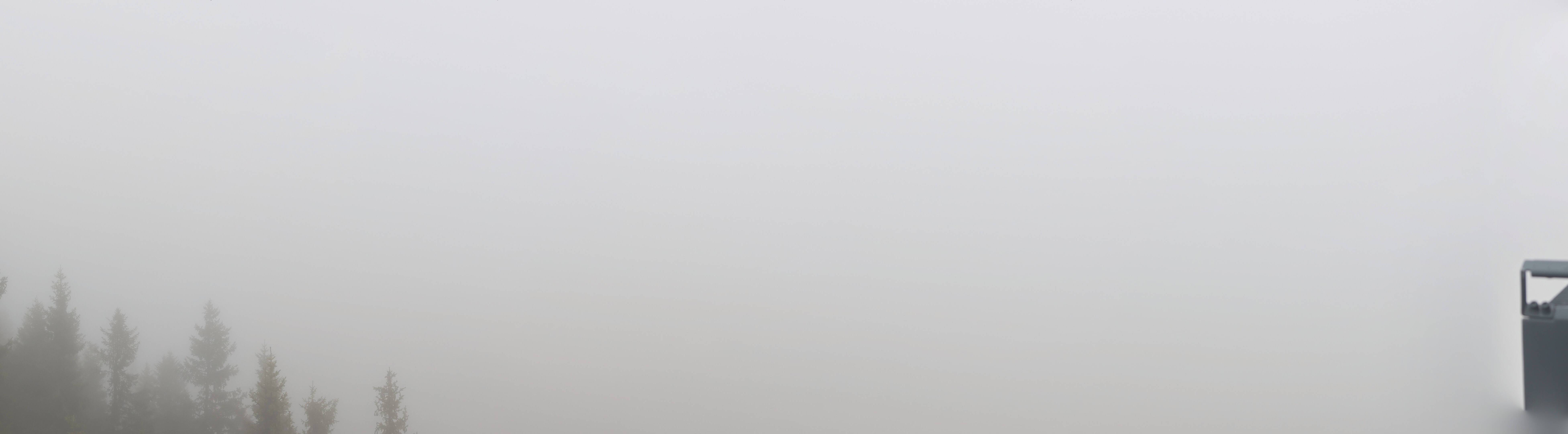 8h ago - 19:13