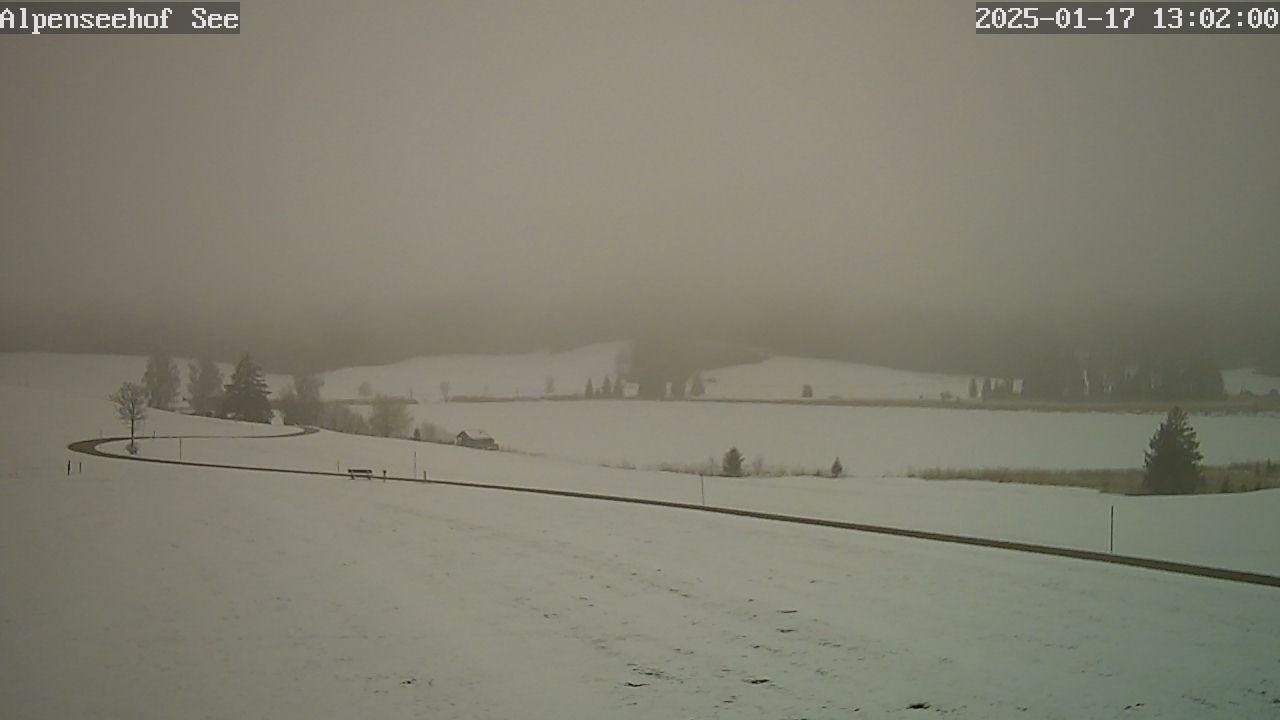 17.01.2025 12:02