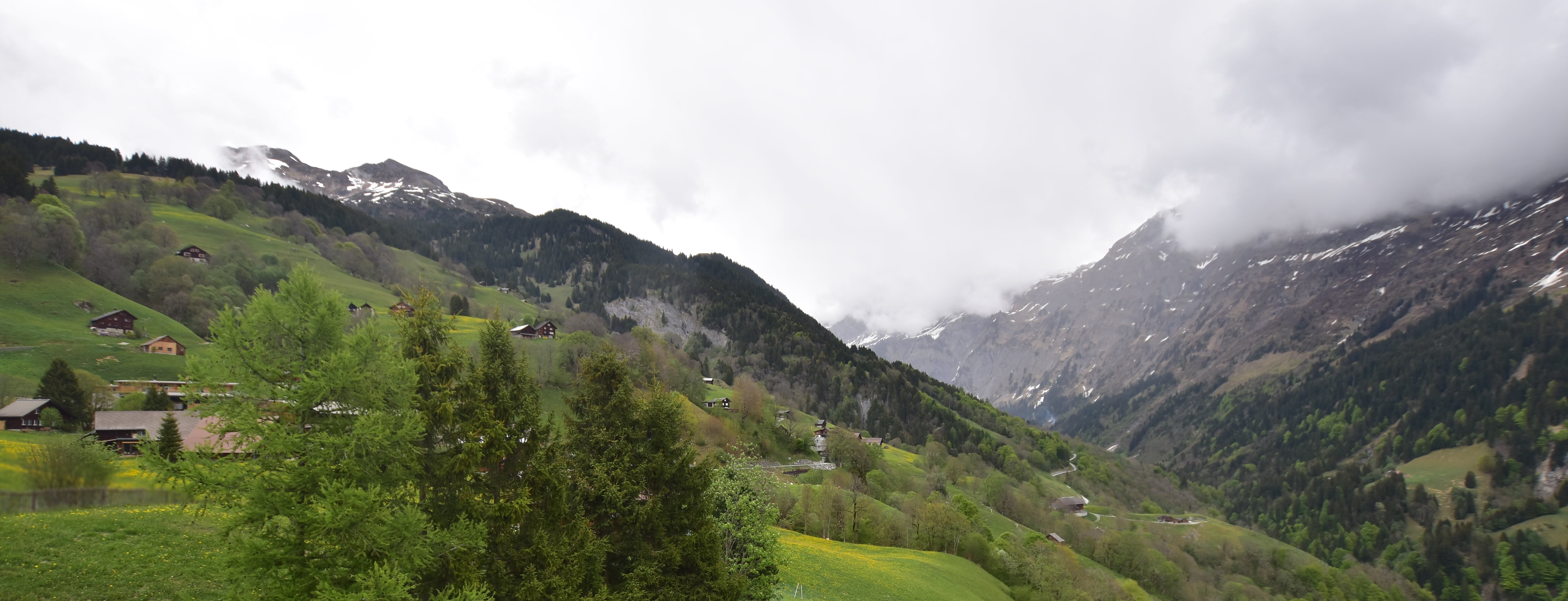 3h ago - 15:31