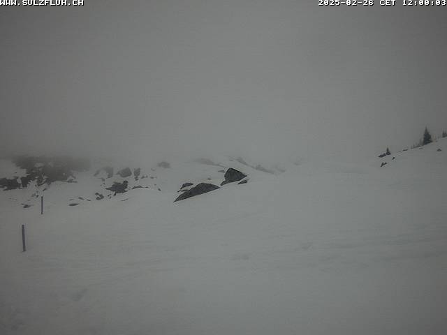 26.02.2025 12:00