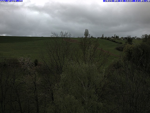16.04.2025 12:33