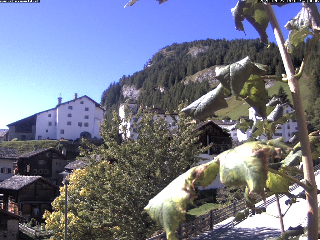 20h ago - 14:00