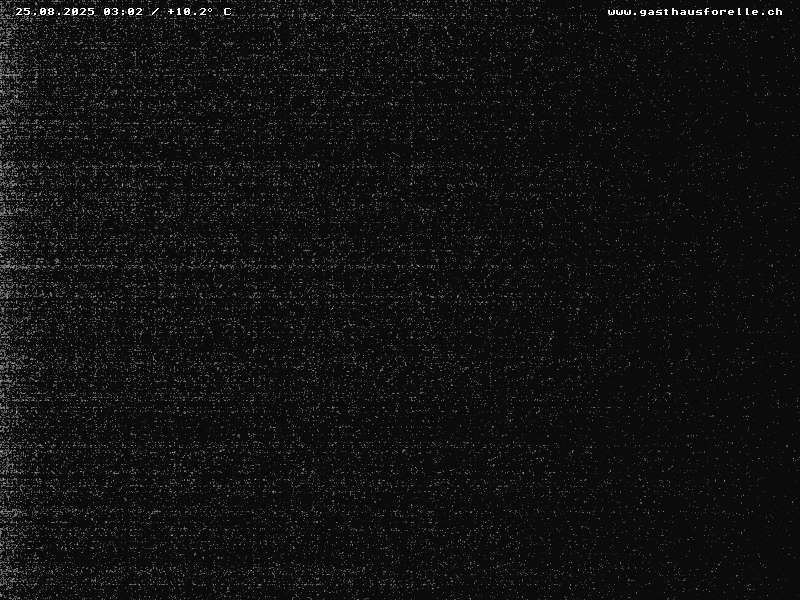 42h ago - 03:02