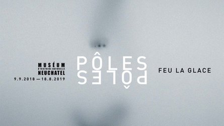 Pôle